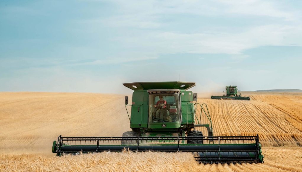 Food prices soar to record levels on Ukraine war disruptions
