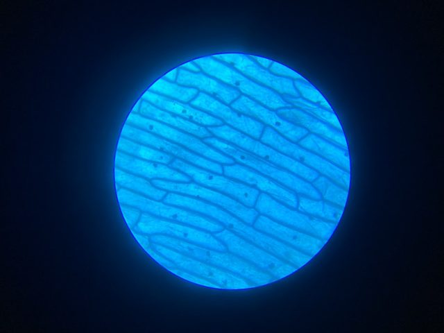 New Hypothesis Suggests Mineral Nanoparticles Preceded Life’s Chemistry