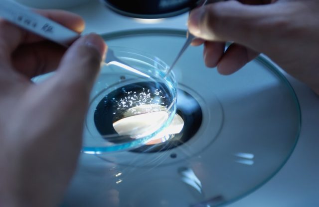 Scripps Research Discovery Shifts Alzheimer’s Focus from Plaques to Inflammation
