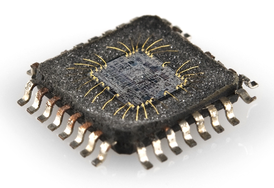 Microchip