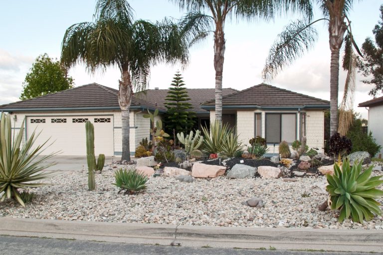 Minimalist Gardening Surges in Popularity as Sustainable, Low-Maintenance Trend in the US